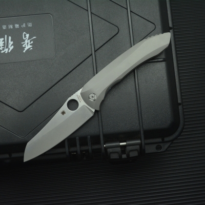 蜘蛛C238TIP （0240）